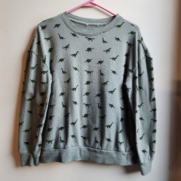 Dinosaur Crew Neck Sweatshirt Size Small - Picture 1 of 13